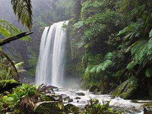 Main_thumb_hopetoun_falls